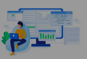 Software Developers