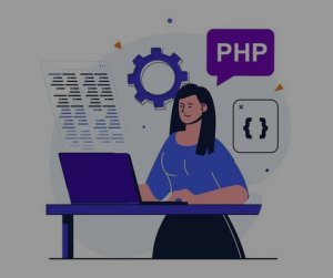 PHP Programmers