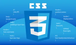 CSS