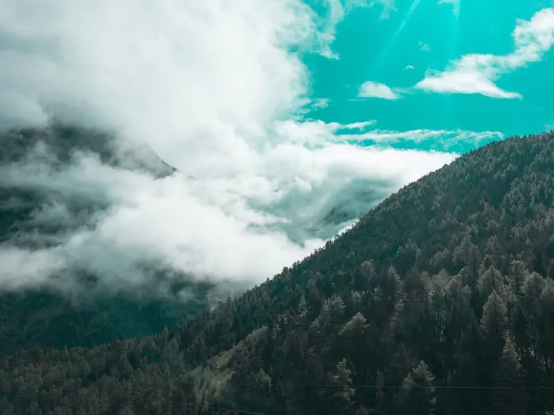 Sustainable Cloud Hosting: Powering SaaS Growth While Cutting Carbon