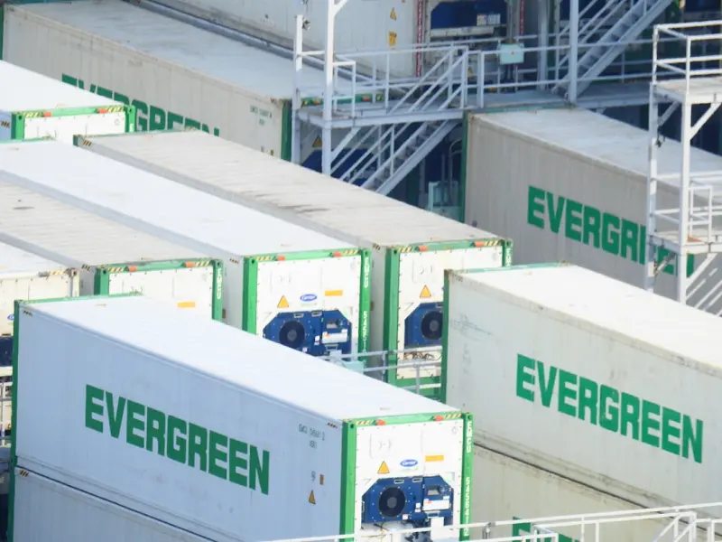 Subscription‑First E‑Commerce: The Engine Driving Sustainable Growth