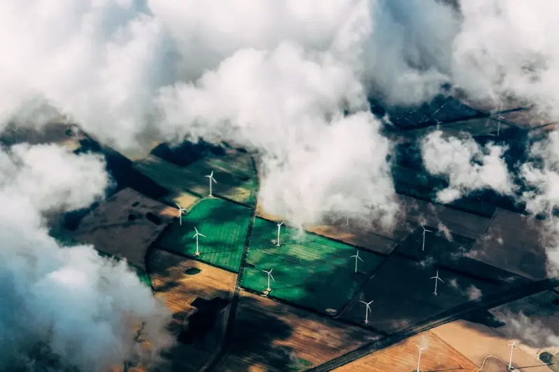 Sustainable Cloud Hosting: Turning Green Into Growth
