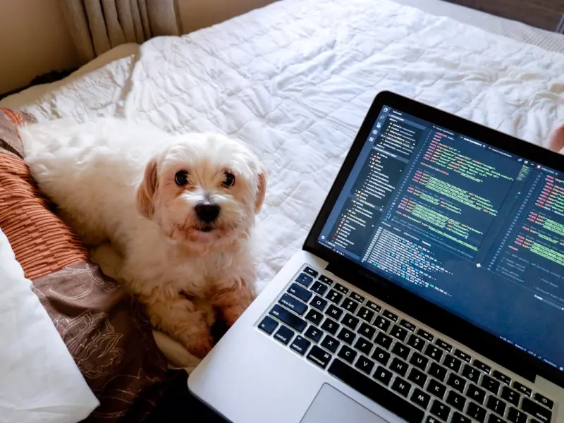 Node.js at the Edge: Ultra‑Low Latency APIs
