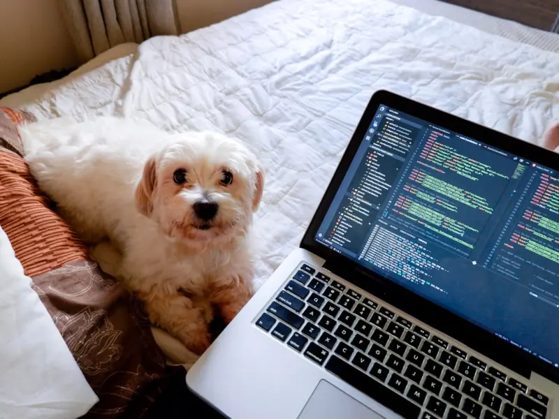 Observability in Node.js: Building Transparent SaaS Services
