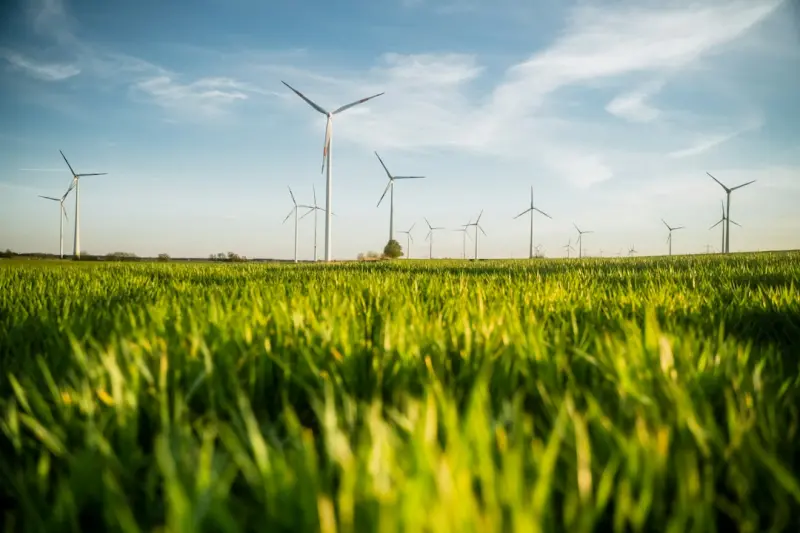 Sustainable Cloud Hosting: Turning Green Into a Competitive Edge for SaaS