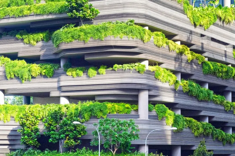 Sustainable WordPress Themes: Building Green Sites Without Compromise