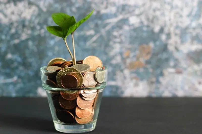 Balancing Budgets and Growth: Sustainable Strategies on Shared Hosting